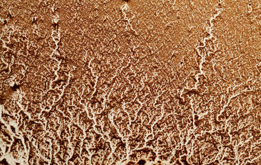 coffee grounds divination, patterns revealed on a white surface after draining coffee 