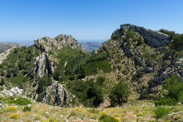 Fototapeta na wymiar beautiful green mediterranean landscape and majestic mountain crest in Spain tranquil nature