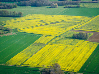 vue aérienne de champs de colza à Neauphlette dans les Yvelines en France