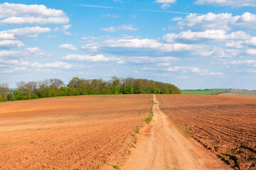 Fototapeta na wymiar Clay country road between agricultural fields . Countryside pathway direction