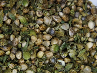 Marijuana seeds and their cases / casings from a studio shoot.