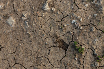Dry, cracked dirt texture for creative background