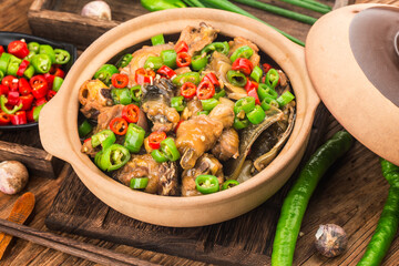 Delicious Chinese cuisine, soft shelled turtle stewed with chicken pot