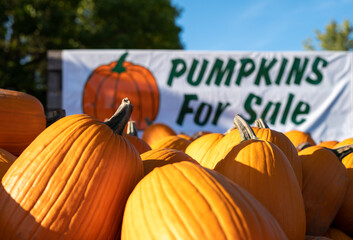 Closeup of pumpkins for sale on a trailer at a roadside farm, being sold using the honor system....