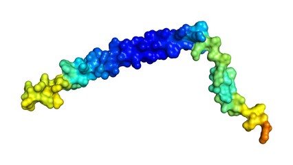3D rendering of Small integral membrane protein 40 as predicted by alphafold and colored according to confidence in the model. 