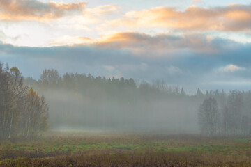Fototapeta premium Morning mist over a Swedish landscape in autumn