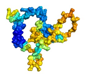 3D rendering of MAPK regulated corepressor interacting protein 2 as predicted by alphafold and colored according to confidence in the model. 