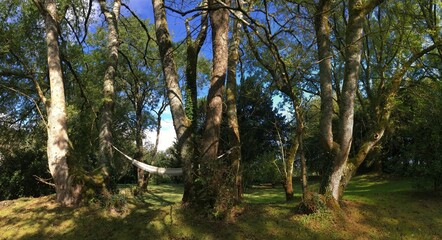 en campagne sur Barré Nevez à Briec Bretagne Cornouailles Finistère France	