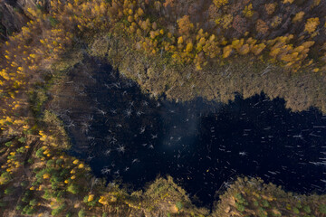 Aerial view of small lakes surrounded by autumn forest.