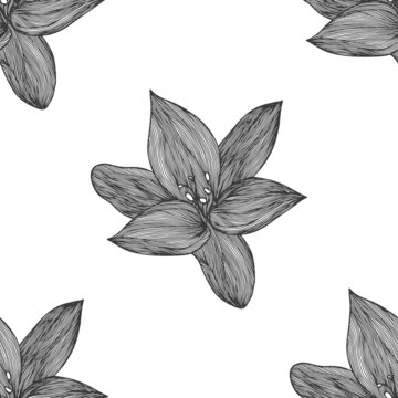Floral vector background black and white. Linear lily flower line seamless pattern for textile design. Vector seamless black and white flower pattern. © RDVector