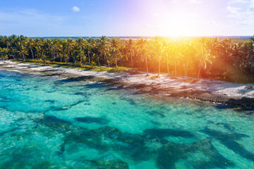 Tropical island with palm trees near caribbean sea. Dominican Republic. Aerial view