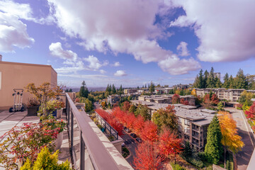 Obraz premium Spectacular red color on maples lining a Univercity Highlands street during Fall as seen from a neighborhood rooftop patio.