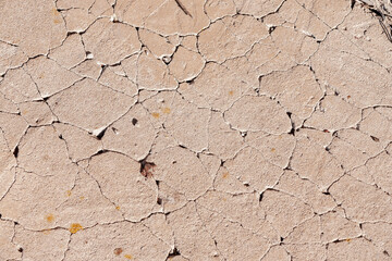 Fototapeta premium Cracked concrete blind area of a country house. Selective focus.