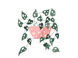 Flat monstera plant in a pot illustration. Vector monstera plant isolated color icon on white background. Minimal floral flat illustration of elegant green monstera leaves for trendy modern design.

