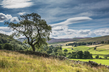 Fototapeta na wymiar Summer landscape in the Yorkshire Dales