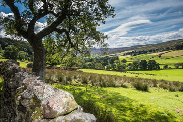 Summer landscape in the Yorkshire Dales