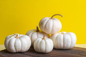 beautiful decorative pumpkin on a yellow background. High quality photo