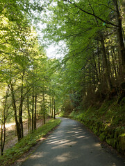 Fototapeta premium Wanderung von Enterrottach durch den Oberbayerischer Wald zum Sibli Winterhütte Vereinsheim des Rodelclubs Rottach-Egern vor Sibli-Wasserfall