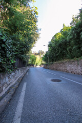 Obraz premium road in the park