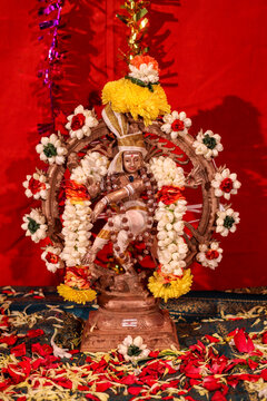 Natrajar  - the hindu tradional god. Indian tradinal god, lord shiva is another name of natraja. Tamil people's god Natraja means lord shiva.