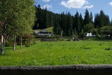 beautiful scenery in the mountains in western ukraine