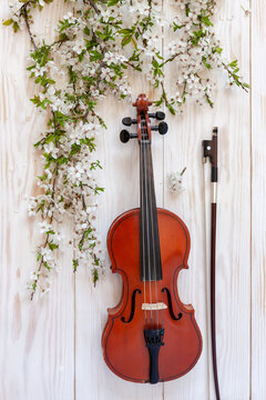 Old violin with fiddlestick and blossoming cherry tree branches. Top view, close-up on white wooden background