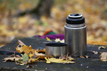 autumn still life