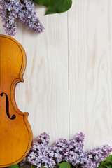 Old Violin and lilac flowers  on white wooden background. Stringed musical instrument. Close up,...