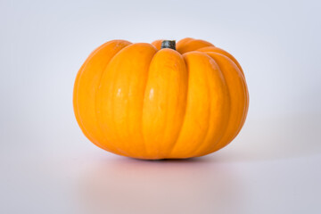 Pumpkin on a white background. Close-up small pumpkin. Selective focus.