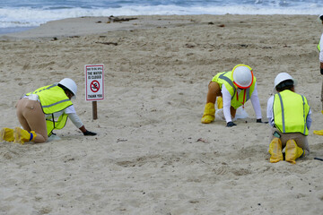 oil clean up crew at the beach