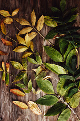 Autumn wooden background with maple leaves