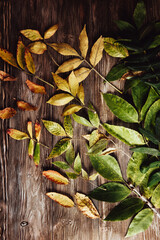Autumn wooden background with maple leaves