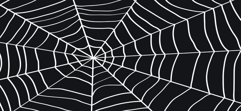 Cartoon black spider web for happy halloween party, october. Flat vector cobweb background. insect pictogram or logo. Drawing  line pattern.