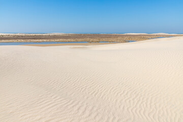 Dunes with wind marks and vegetation