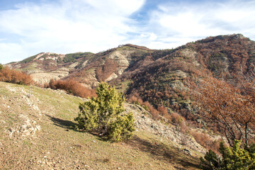 Rhodope Mountains near Borovitsa Reservoir, Bulgaria