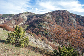Fototapeta premium Rhodope Mountains near Borovitsa Reservoir, Bulgaria