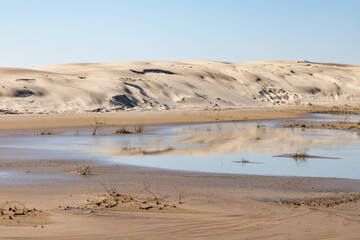 Lake, Dunes with wind marks and vegetation