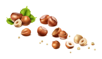 3d realistic vector icon. Stages of hazelnut from shelled nut to nut without shell, cut in halves and scrumps. Isolated on white background.  - obrazy, fototapety, plakaty