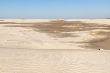 Dunes with wind marks and vegetation