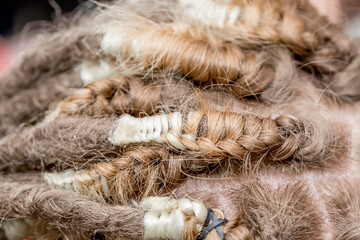 Dreadlocks African braids are weaved by a master hairdresser in the salon, head and hair close-up braided into dreadlocks copy space, boy european