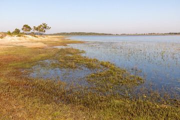 Lake, sand and vegetation
