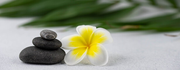Fototapeta na wymiar Pyramids of gray and white zen pebble meditation stones on white background with plumeria tropical flower. Concept of harmony, balance and meditation, spa, massage, relax. Banner format