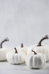 Halloween or thanksgiving day white pumpkins on white background. Selective focuse, blurred. Autumn pumpkin harvest