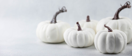 Halloween or thanksgiving day white pumpkins on white background. Selective focuse, blurred. Autumn pumpkin harvest. Banner format