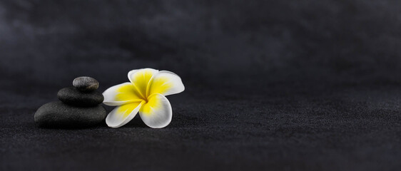 Pyramids of gray and white zen pebble meditation stones on black background with plumeria tropical flower. Concept of harmony, balance and meditation, spa, massage, relax. Banner format