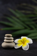 Obraz na płótnie Canvas Pyramids of gray and white zen pebble meditation stones on black background with plumeria tropical flower. Concept of harmony, balance and meditation, spa, massage, relax