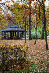 Landscape in the autumn park. Wooden gazebo for relaxing among yellow foliage and autumn trees. wooden gazebo on the lake in the autumn park