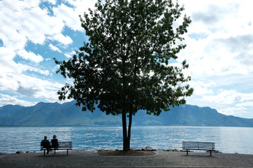 Fototapeta na wymiar Leisure time on the shore of the Leman (Geneva ) Lake in Montreux, Switzerland.