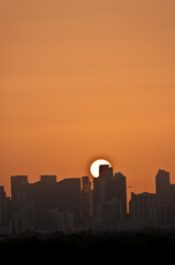 front view, far distance of tropical sun, rising over silhouetted, Miami skyline