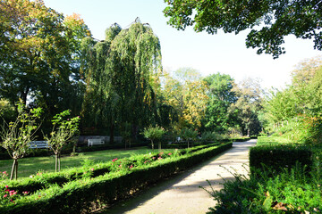 rosrngarten in neuss im herbst